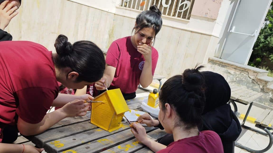 Misafirlerimize Yeni Yuvalar Hazırladık 